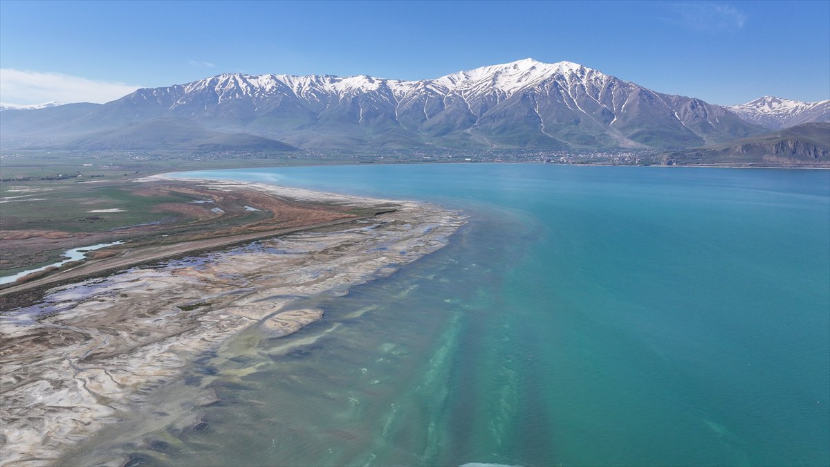 Van'daki kuş cenneti tekrar canlandı