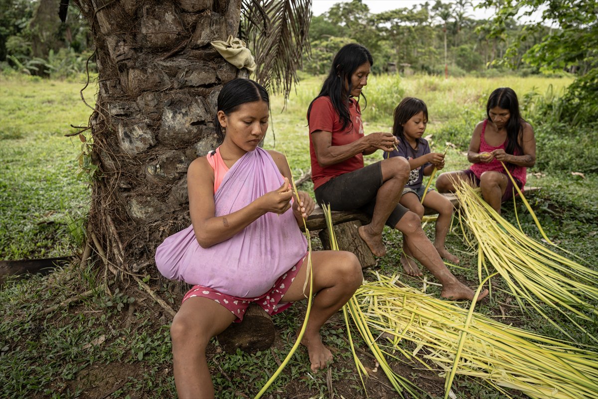 Amazon Ormanları'nın koruyucu kabilesi Waoranilerin hayat mücadelesi