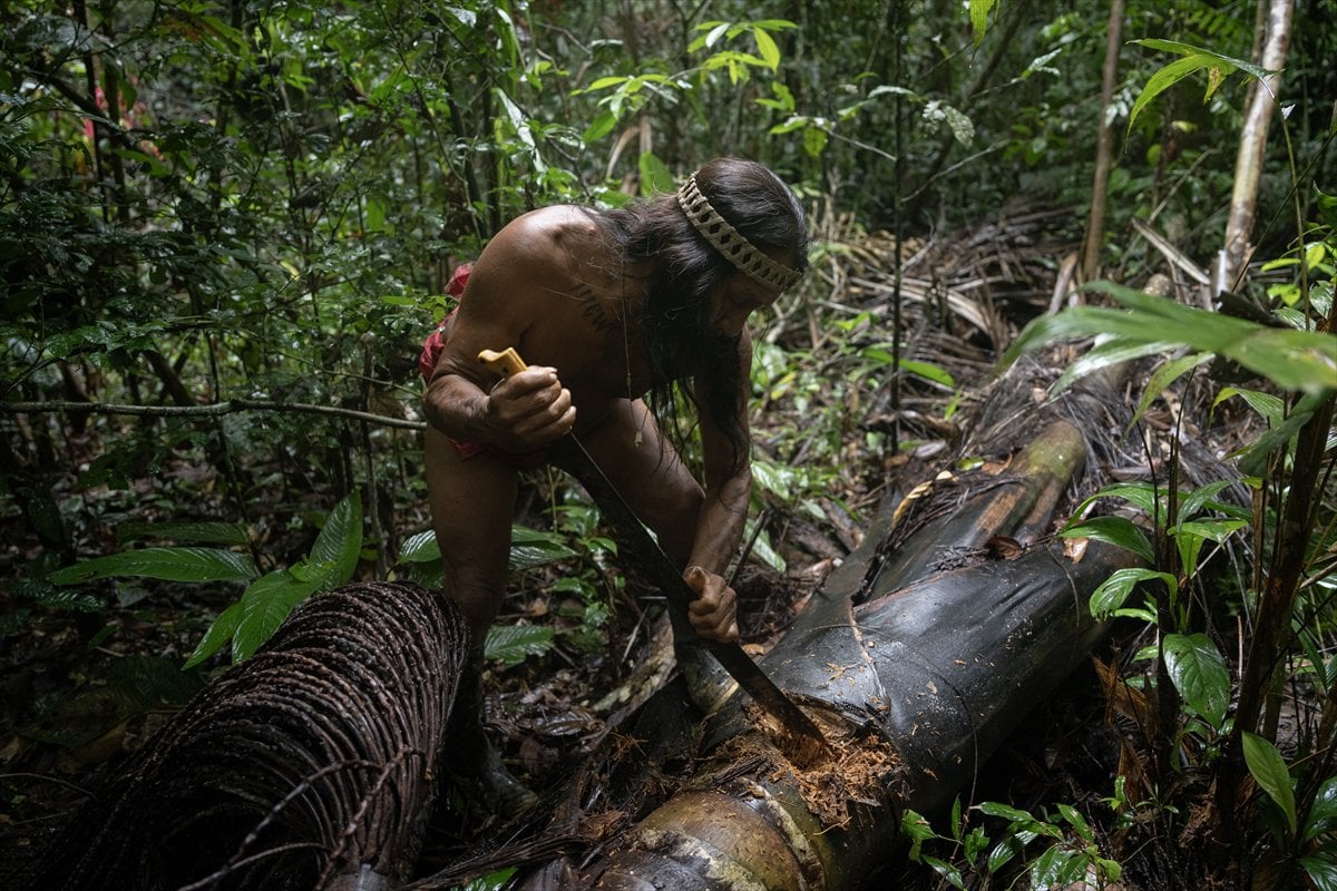 Amazon Ormanları'nın koruyucu kabilesi Waoranilerin hayat mücadelesi
