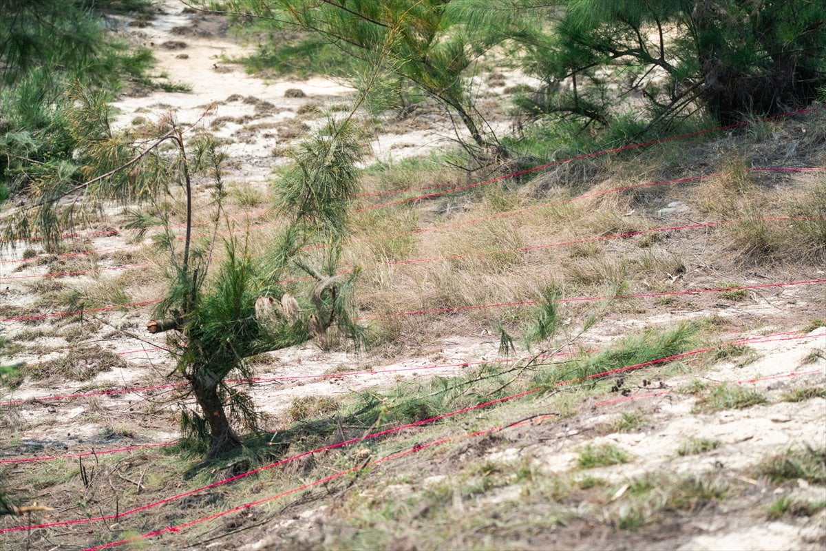 Vietnam’da, 50 yıl sonra hala savaşın izleri silinmeye çalışılıyor