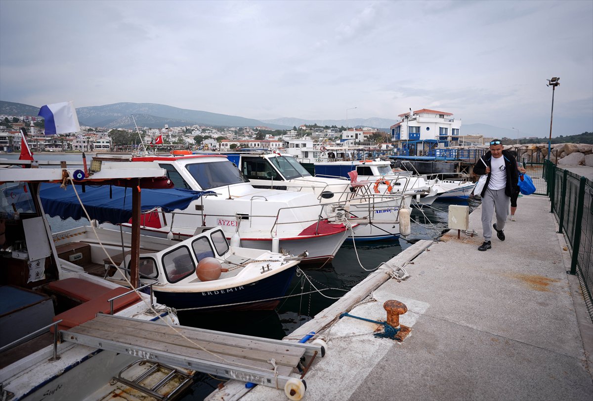 Otizmli yüzücü, Manş Denizi'ni geçmeye hazır