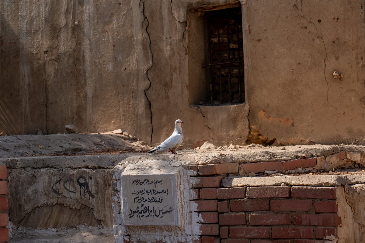 Kahire'de yaşamla ölümün iç içe olduğu şehir: Al-Qarafa