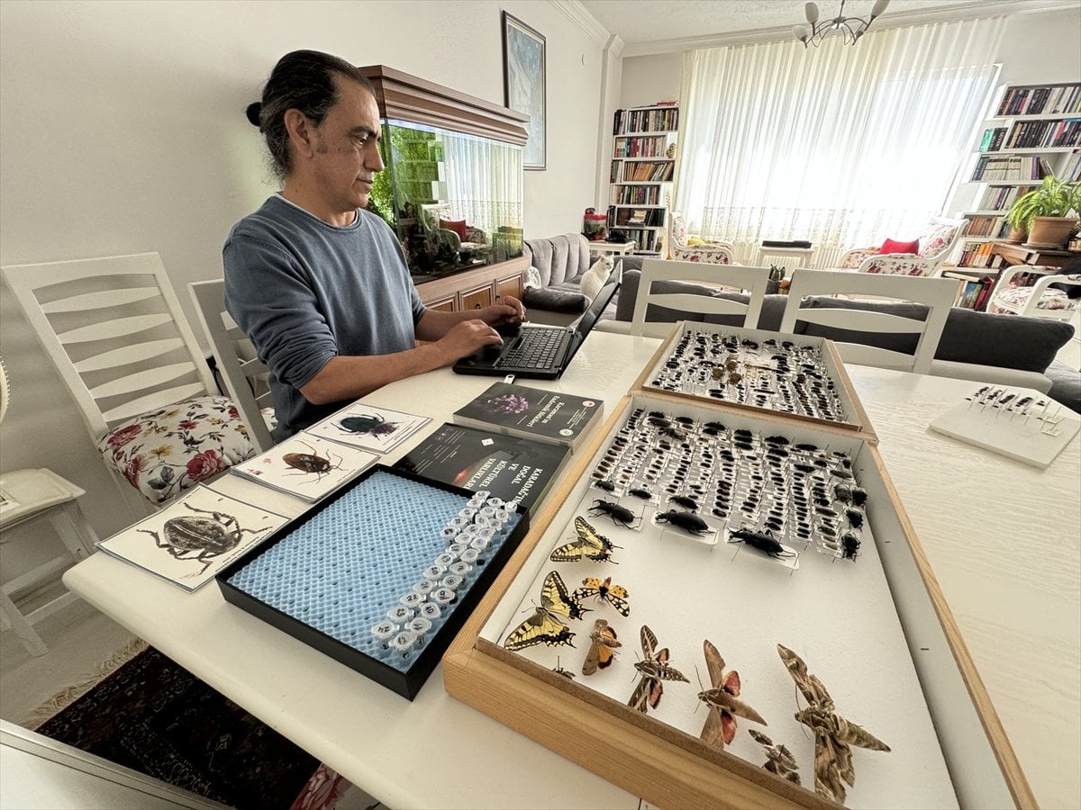 Jeoloji mühendisi keşfettiği böcek türlerine ailesinin ismini verdi