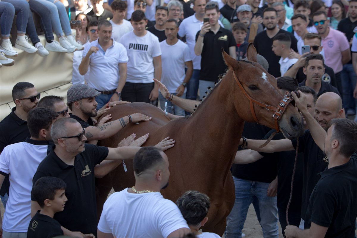 İspanya'da Los Caballos del Vino Festivali