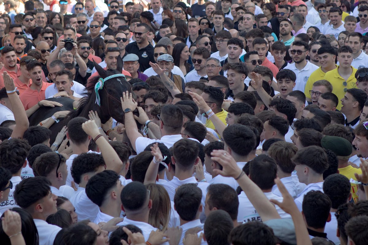 İspanya'da Los Caballos del Vino Festivali