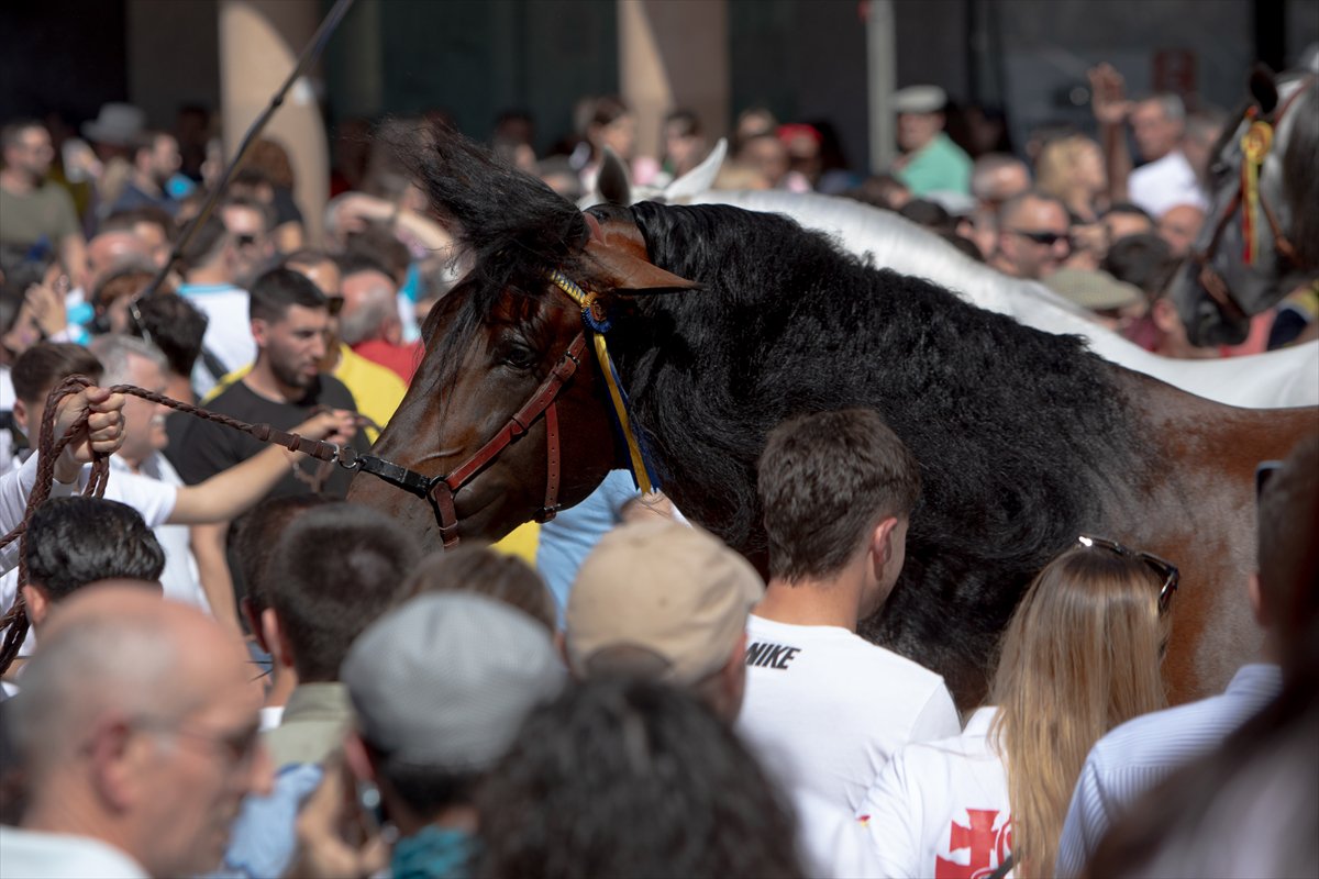 İspanya'da Los Caballos del Vino Festivali