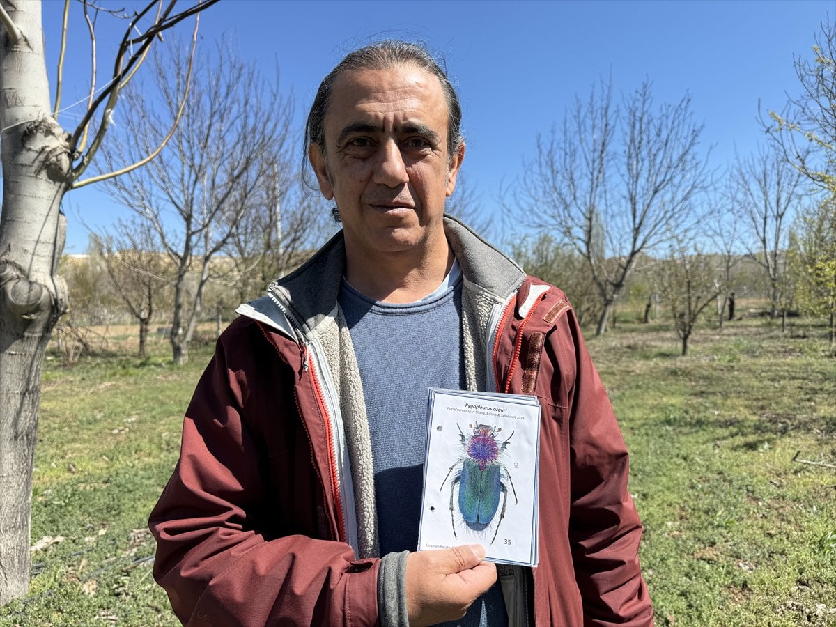 Jeoloji mühendisi keşfettiği böcek türlerine ailesinin ismini verdi