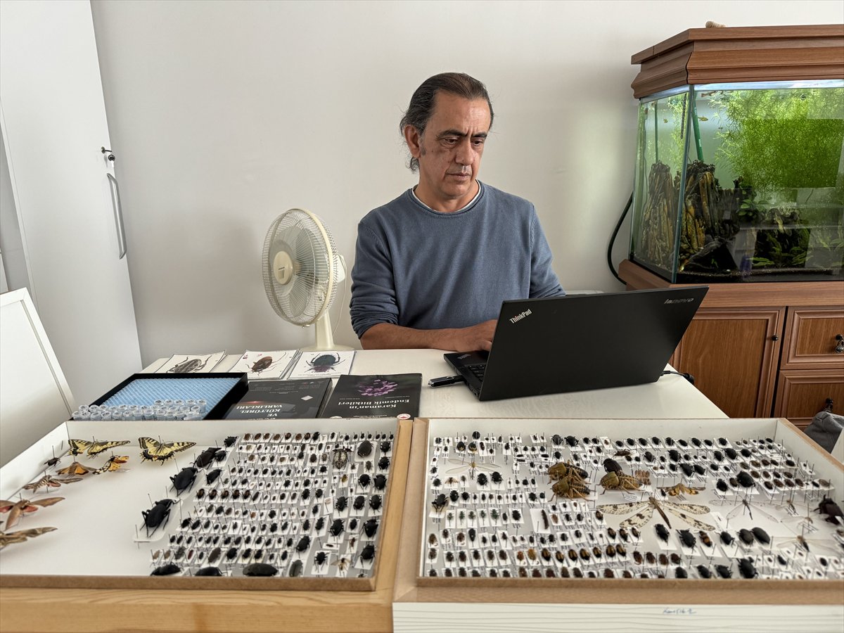 Jeoloji mühendisi keşfettiği böcek türlerine ailesinin ismini verdi