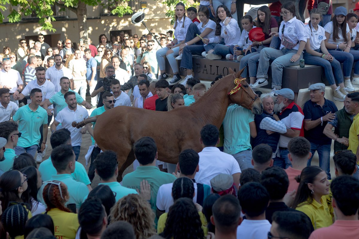 İspanya'da Los Caballos del Vino Festivali