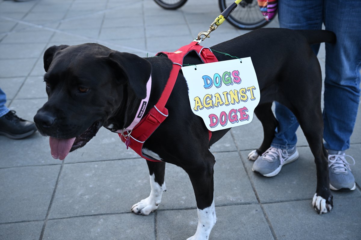 Dünyada 1 Mayıs coşkusu: Sokaklarda emek ve dayanışma sesleri yükseldi
