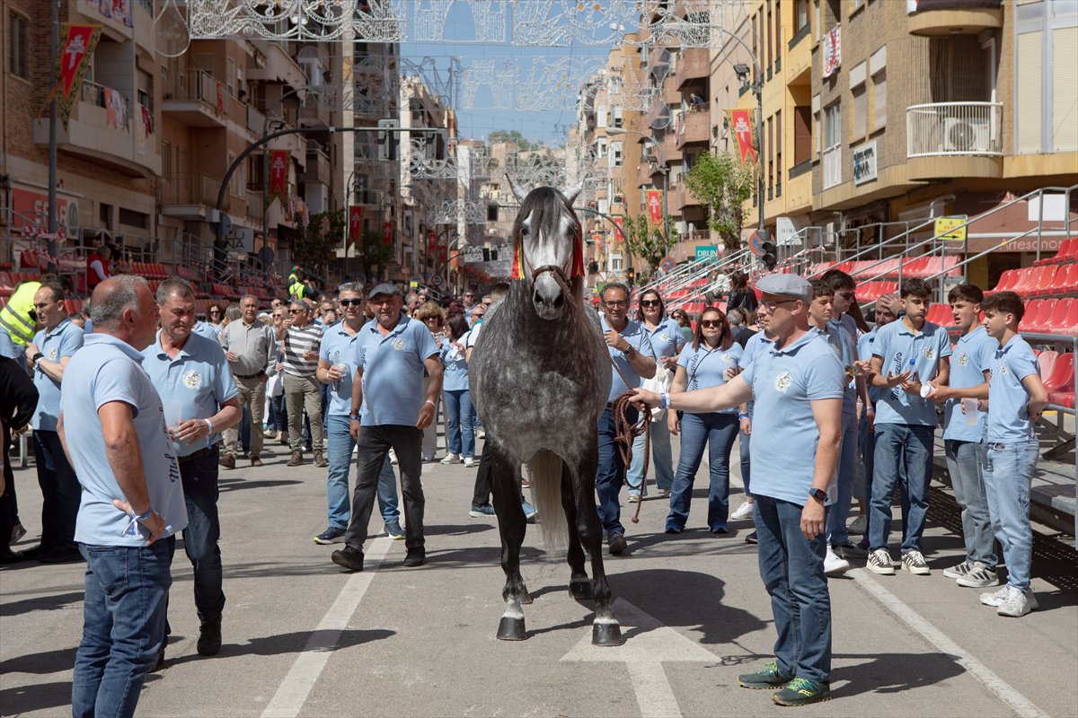 İspanya'da Los Caballos del Vino Festivali
