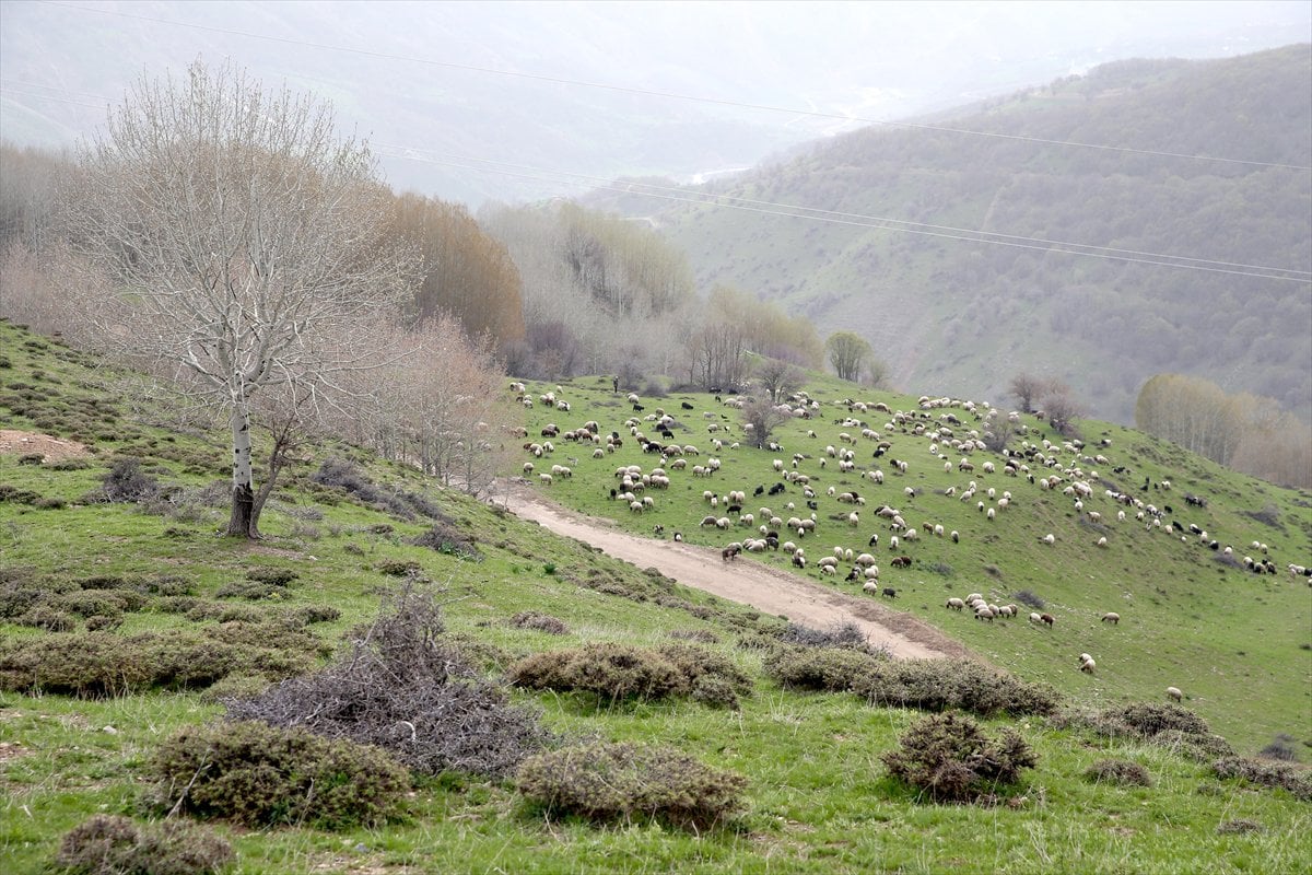 Muş'un bilinmeyen yüzü
