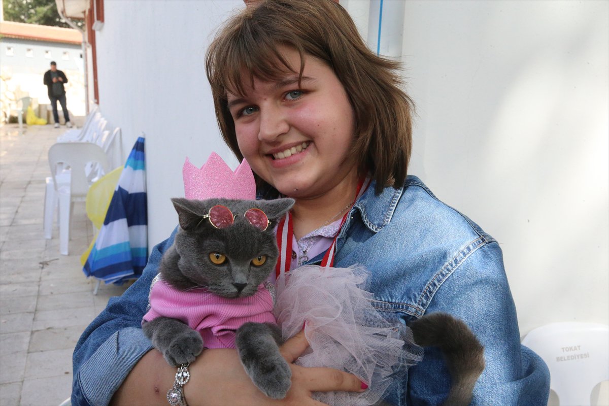 Tokat’ta minik pati şöleni: Kediler güzellik yarışmasında podyuma çıktı