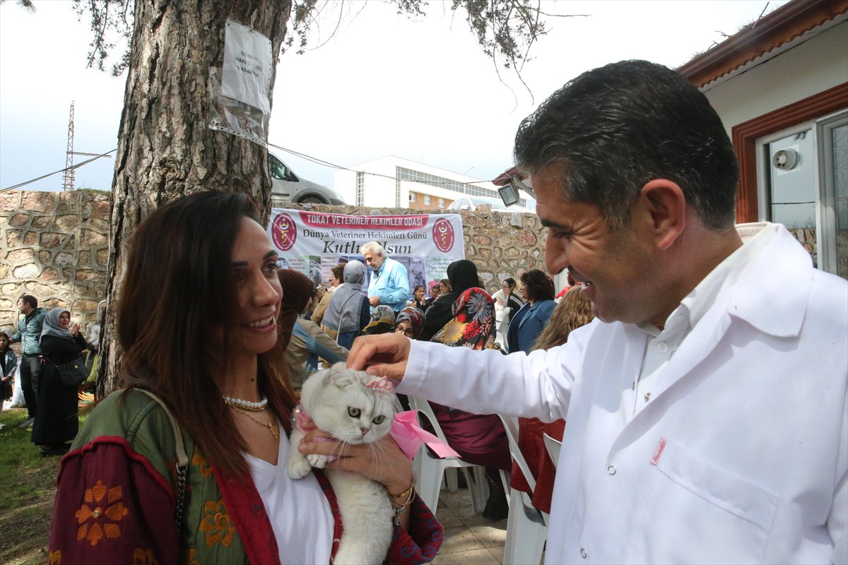 Tokat’ta minik pati şöleni: Kediler güzellik yarışmasında podyuma çıktı