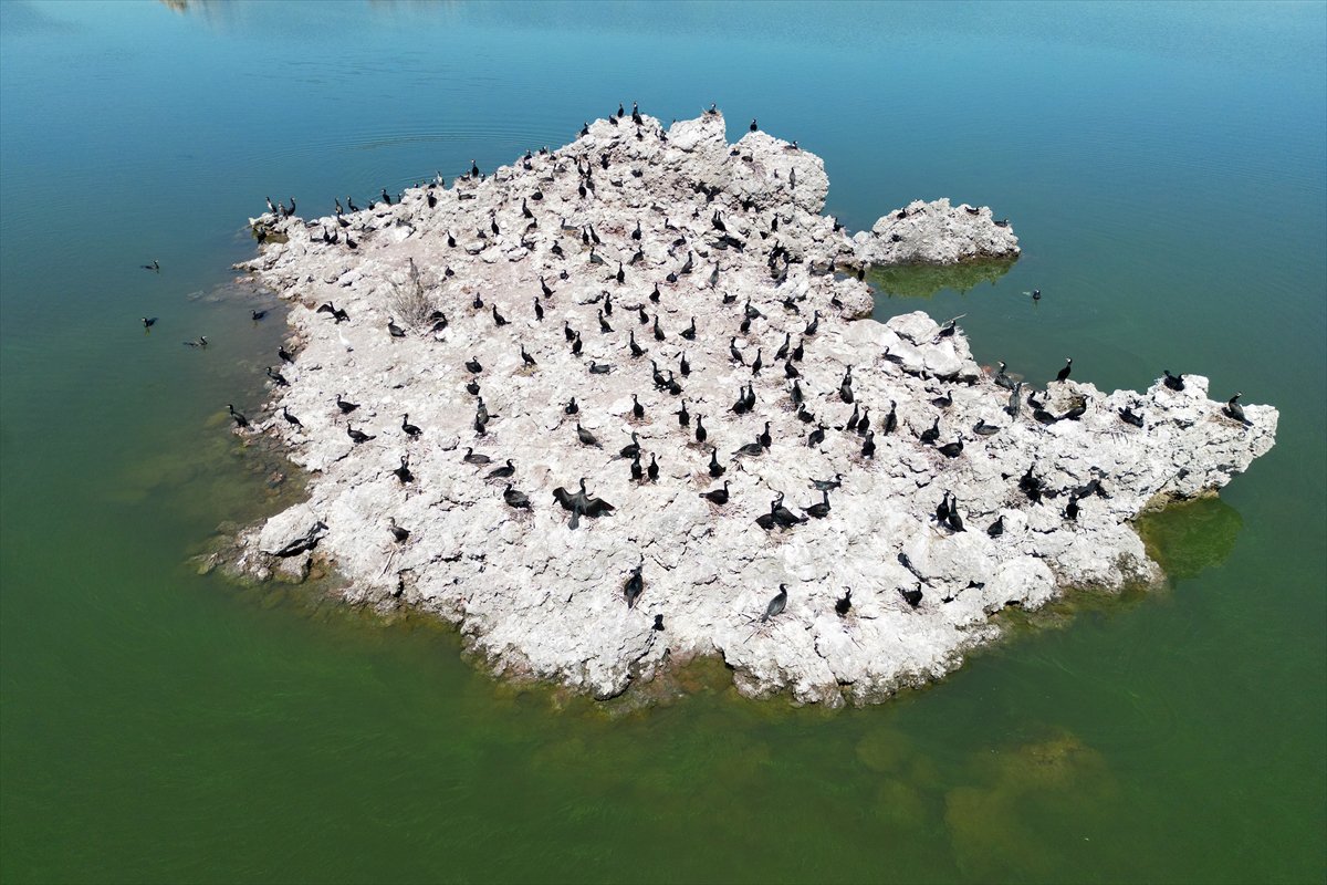 Manisa'daki lav kalıntıları göçmen kuşlarla canlandı
