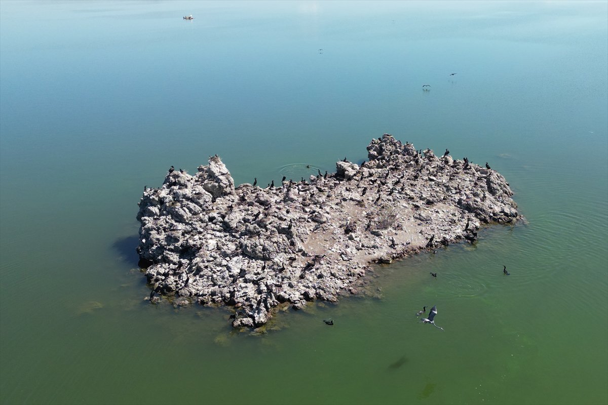 Manisa'daki lav kalıntıları göçmen kuşlarla canlandı