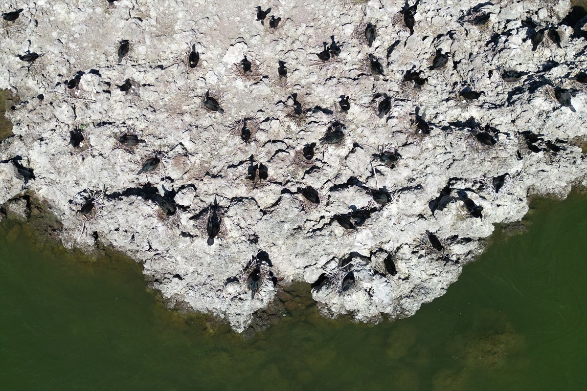 Manisa'daki lav kalıntıları göçmen kuşlarla canlandı