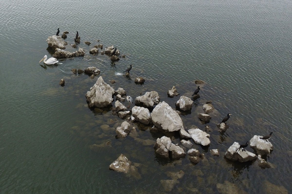 Manisa'daki lav kalıntıları göçmen kuşlarla canlandı