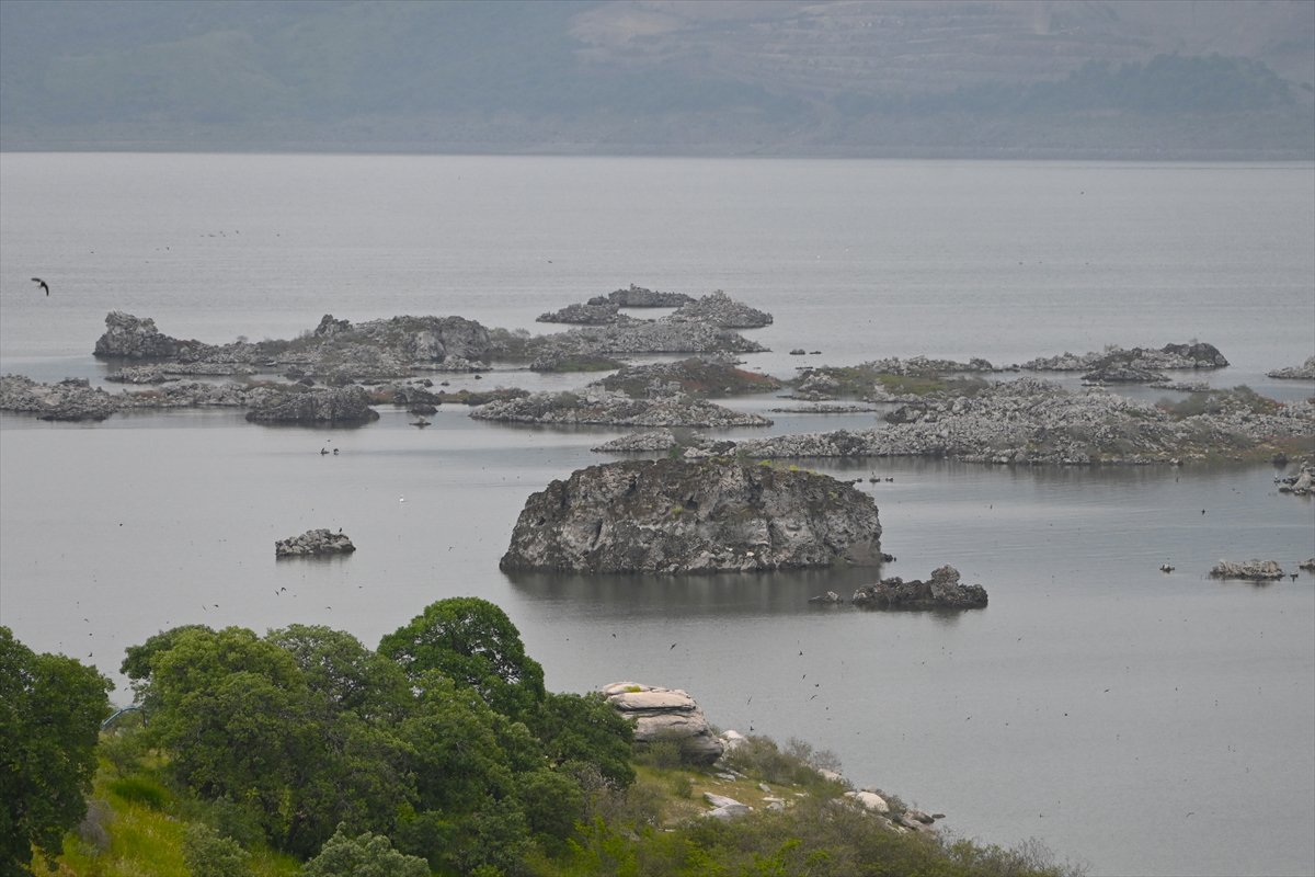 Manisa'daki lav kalıntıları göçmen kuşlarla canlandı