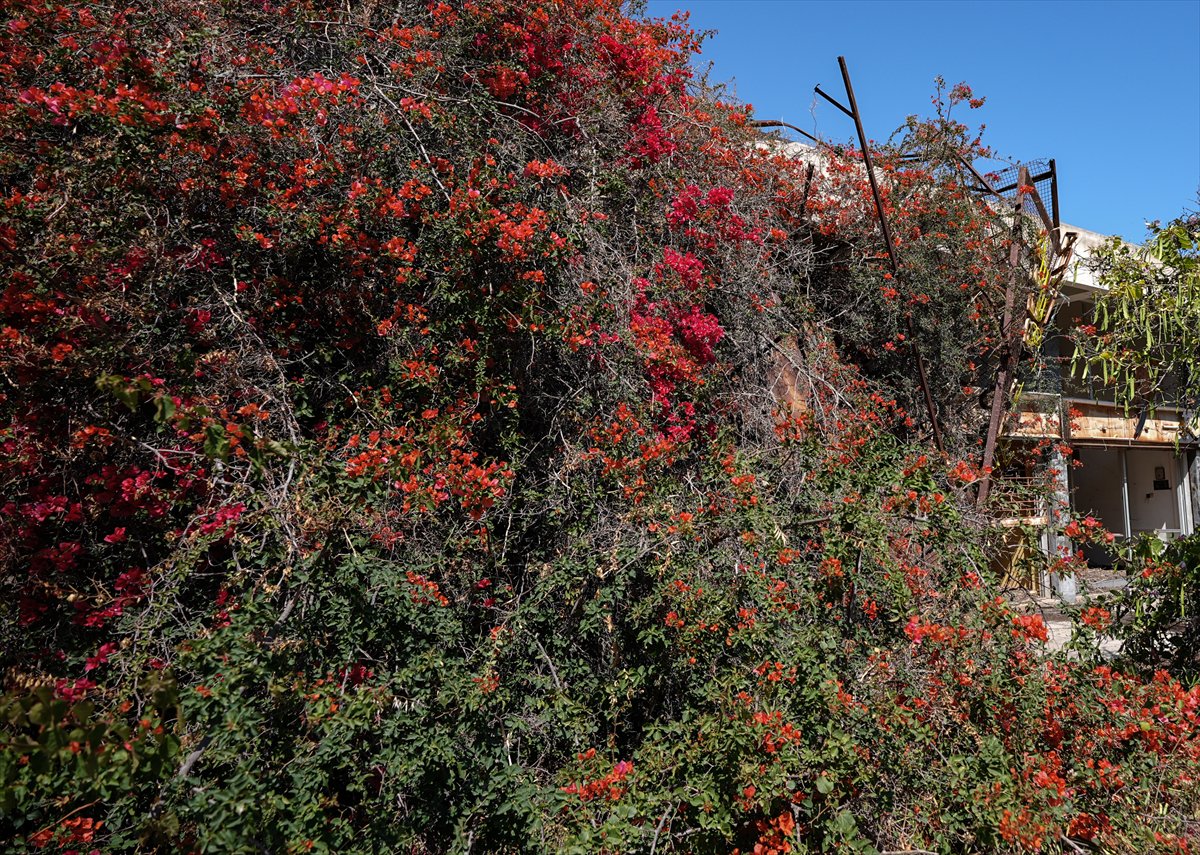 Kapalı Maraş 46 yıl sonra ziyarete açıldı: Geçmiş hala aynı yerde duruyor