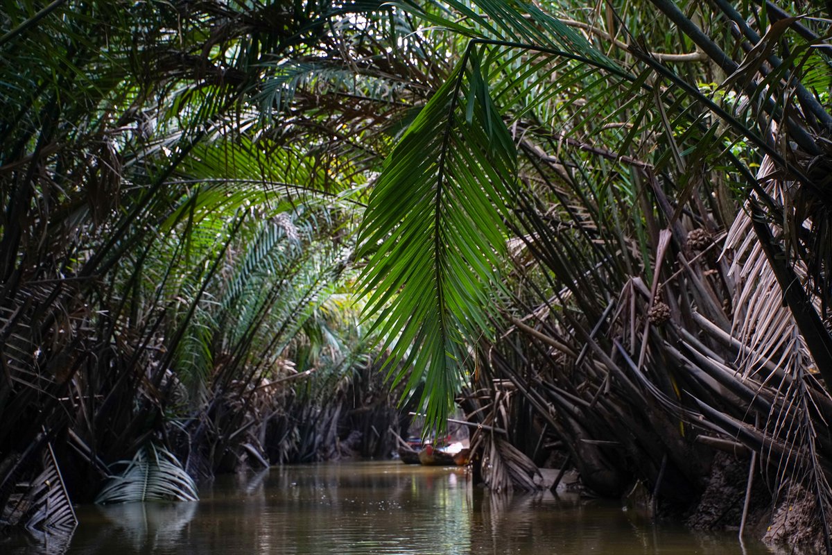 Mekong Deltası kanallarında tekne turu