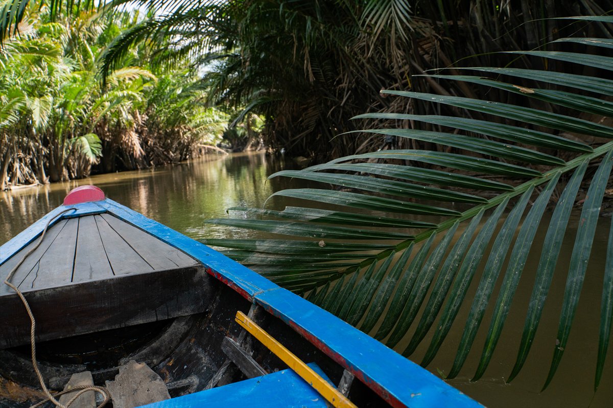 Mekong Deltası kanallarında tekne turu
