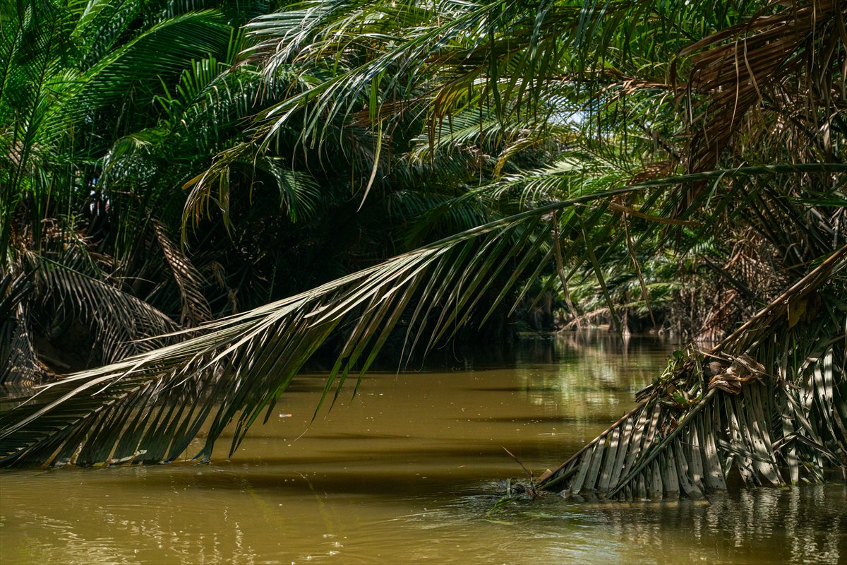 Mekong Deltası kanallarında tekne turu