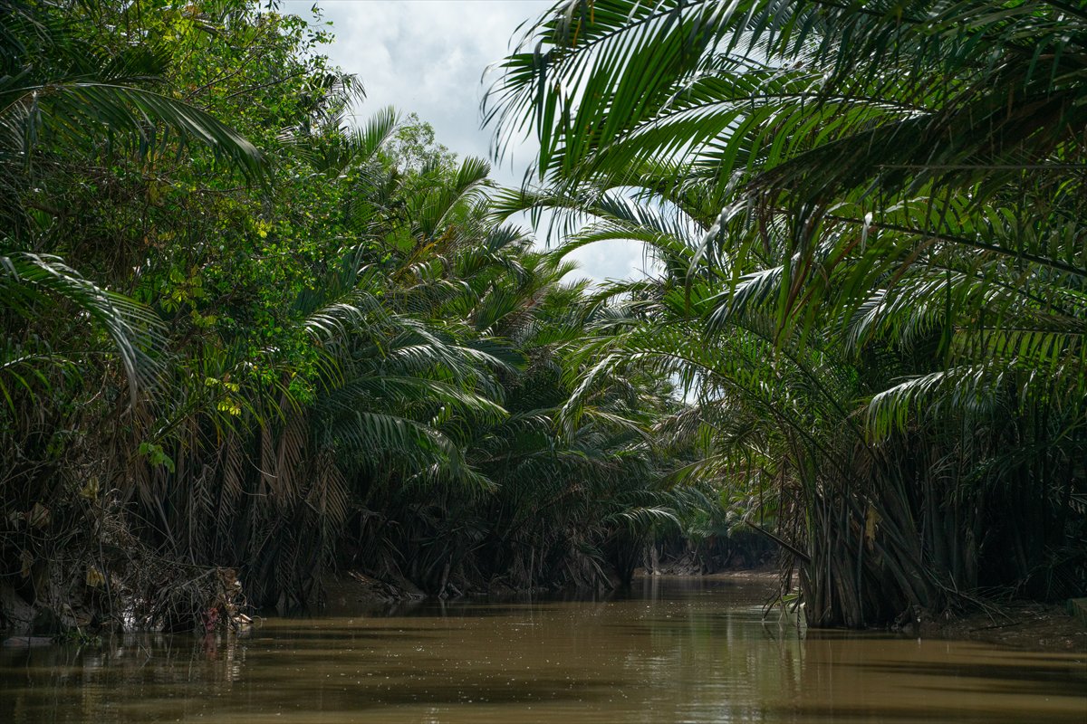 Mekong Deltası kanallarında tekne turu