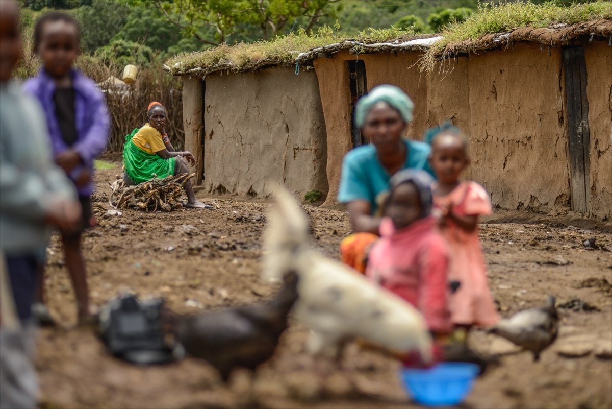 Kenya’da Masai kabilesinin vahşi doğayla uyumlu yaşamı