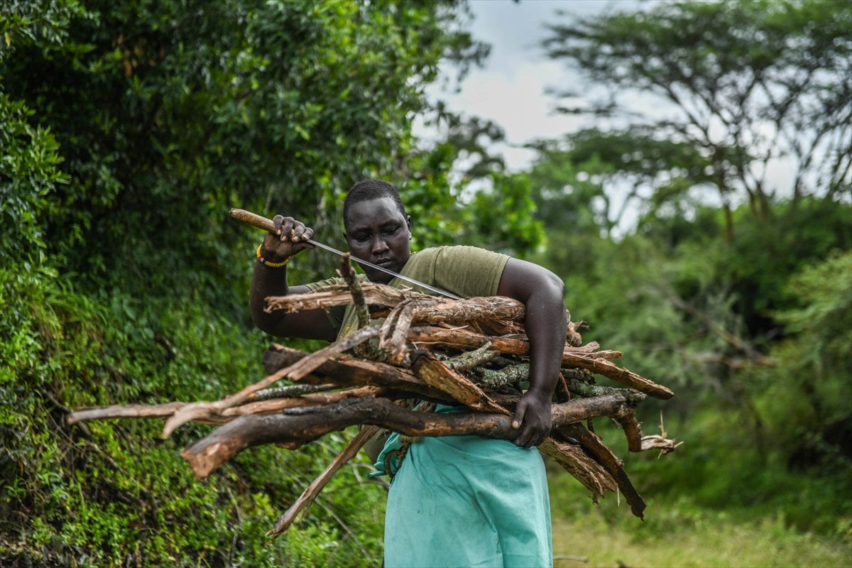 Kenya’da Masai kabilesinin vahşi doğayla uyumlu yaşamı