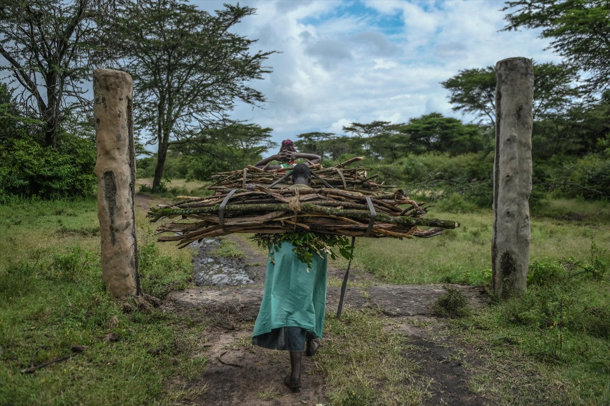 Kenya’da Masai kabilesinin vahşi doğayla uyumlu yaşamı
