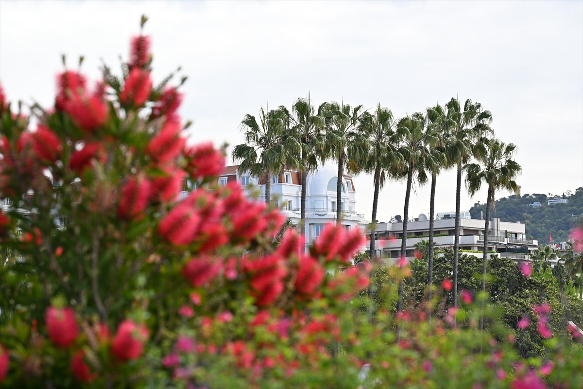 78. Cannes Film Festivali'nde yıldız geçidi