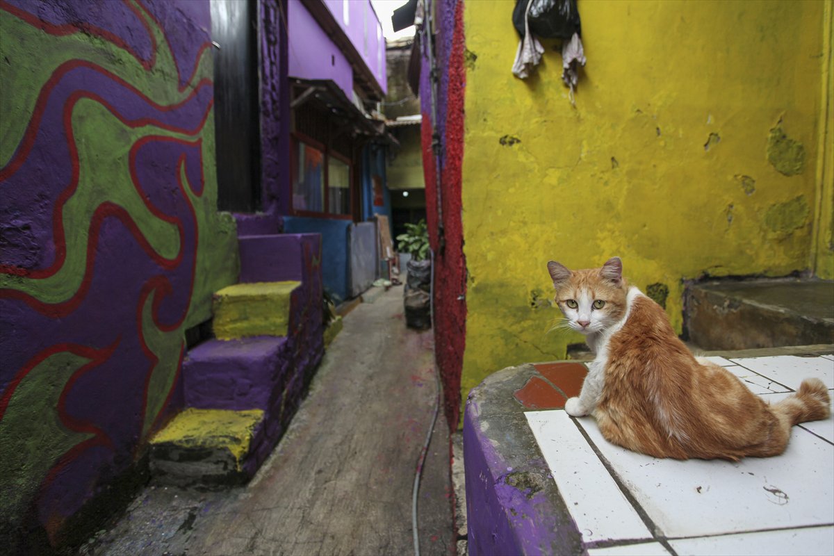 Endonezya’da Katumbiri Mahallesi renk cümbüşüne dönüştü