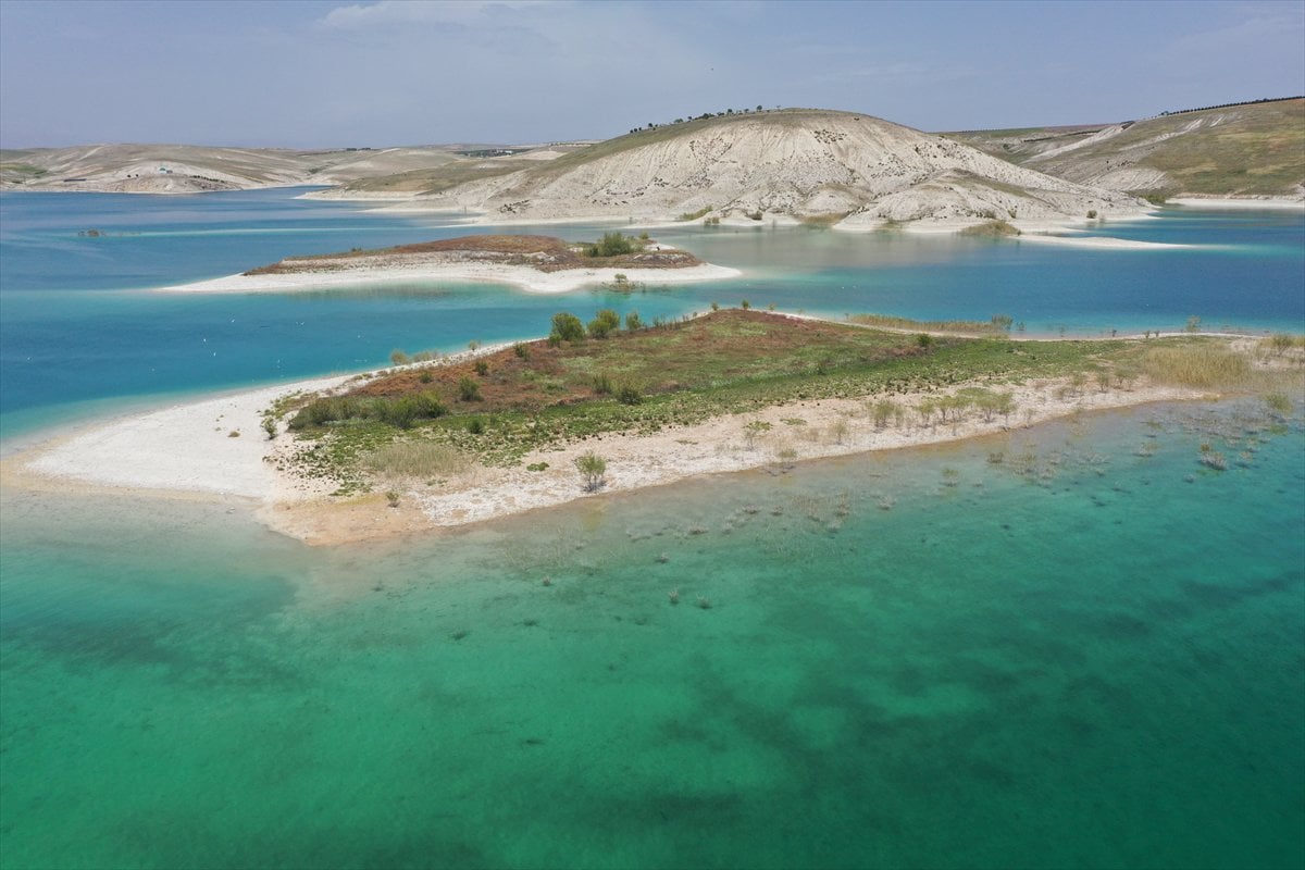 Adıyaman'ın martılara özel adası