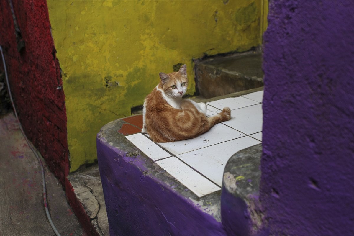 Endonezya’da Katumbiri Mahallesi renk cümbüşüne dönüştü