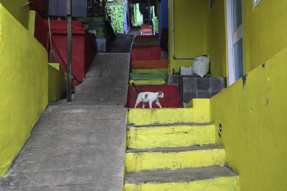 Endonezya’da Katumbiri Mahallesi renk cümbüşüne dönüştü
