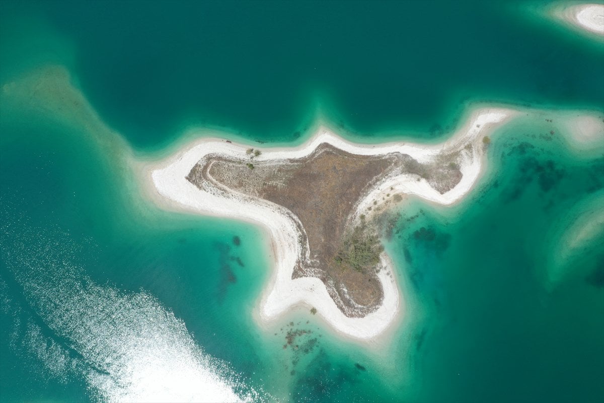 Adıyaman'ın martılara özel adası