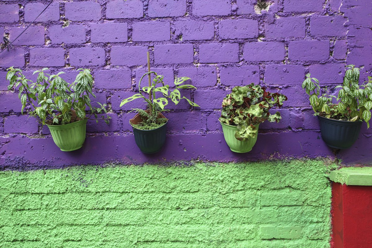 Endonezya’da Katumbiri Mahallesi renk cümbüşüne dönüştü