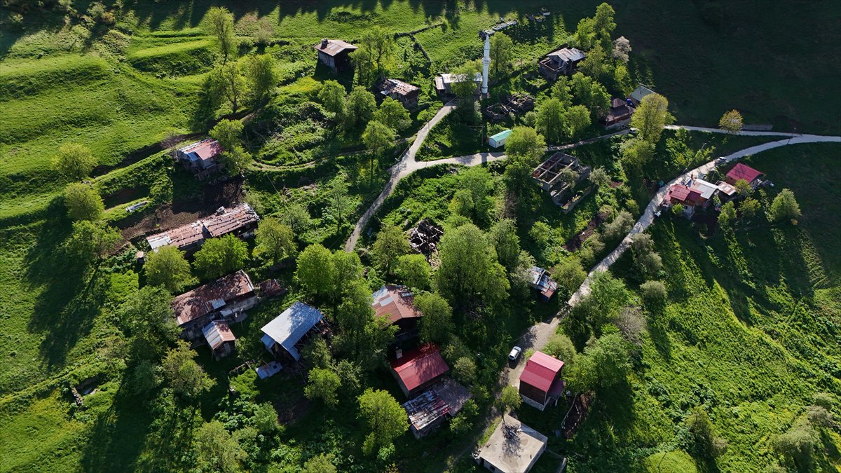 Rize'nin doğa harikası yaylaları: Kaçkarlar