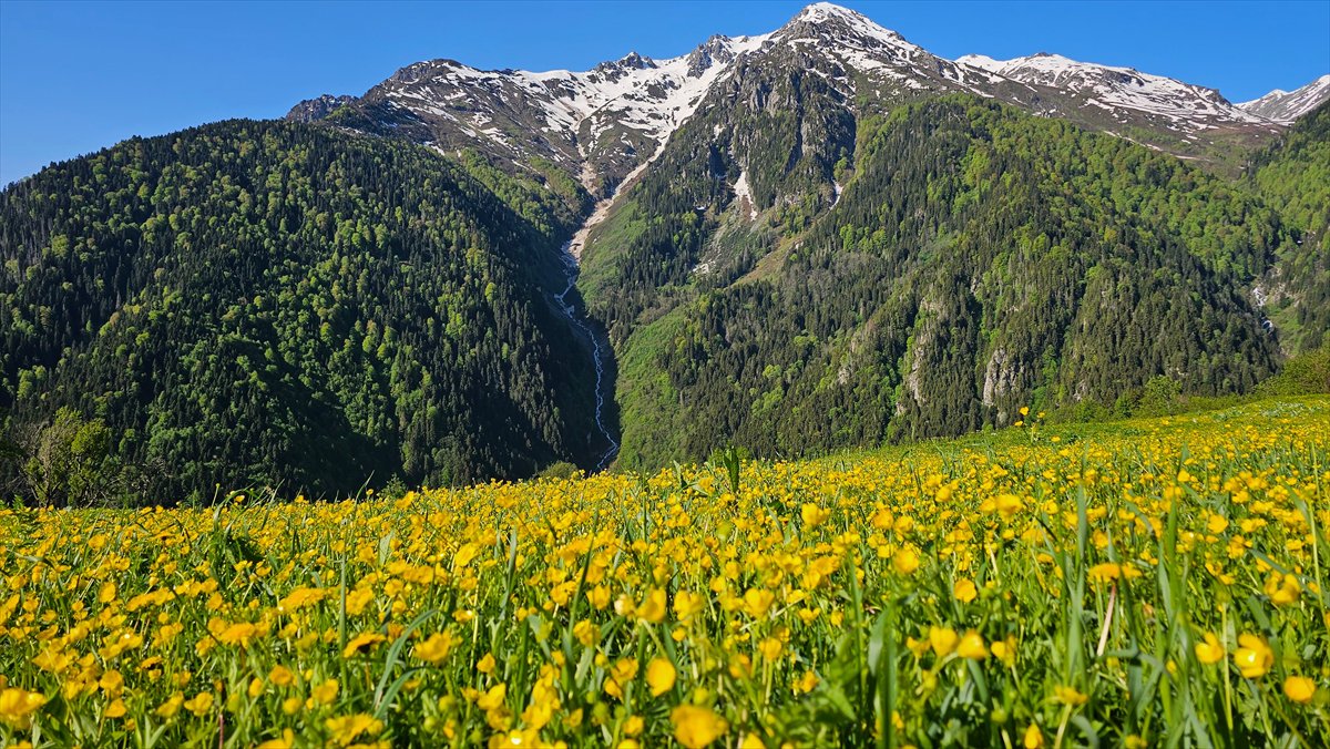 Rize'nin doğa harikası yaylaları: Kaçkarlar
