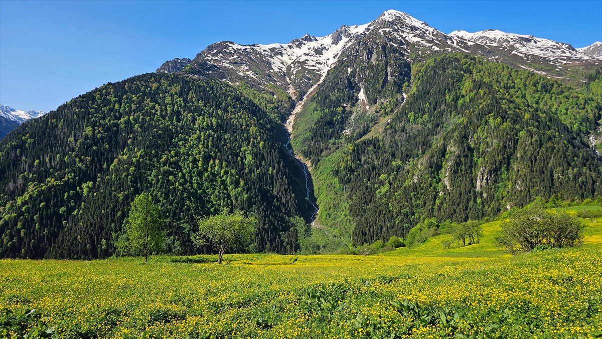 Rize'nin doğa harikası yaylaları: Kaçkarlar