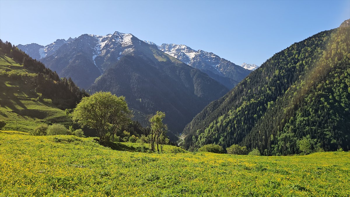Rize'nin doğa harikası yaylaları: Kaçkarlar
