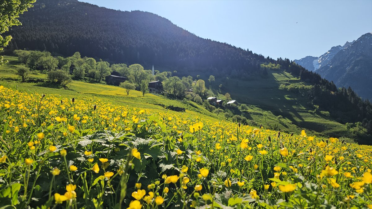 Rize'nin doğa harikası yaylaları: Kaçkarlar