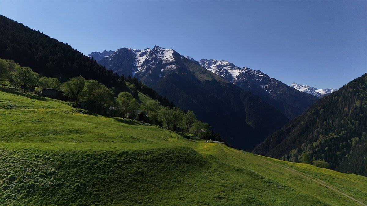 Rize'nin doğa harikası yaylaları: Kaçkarlar