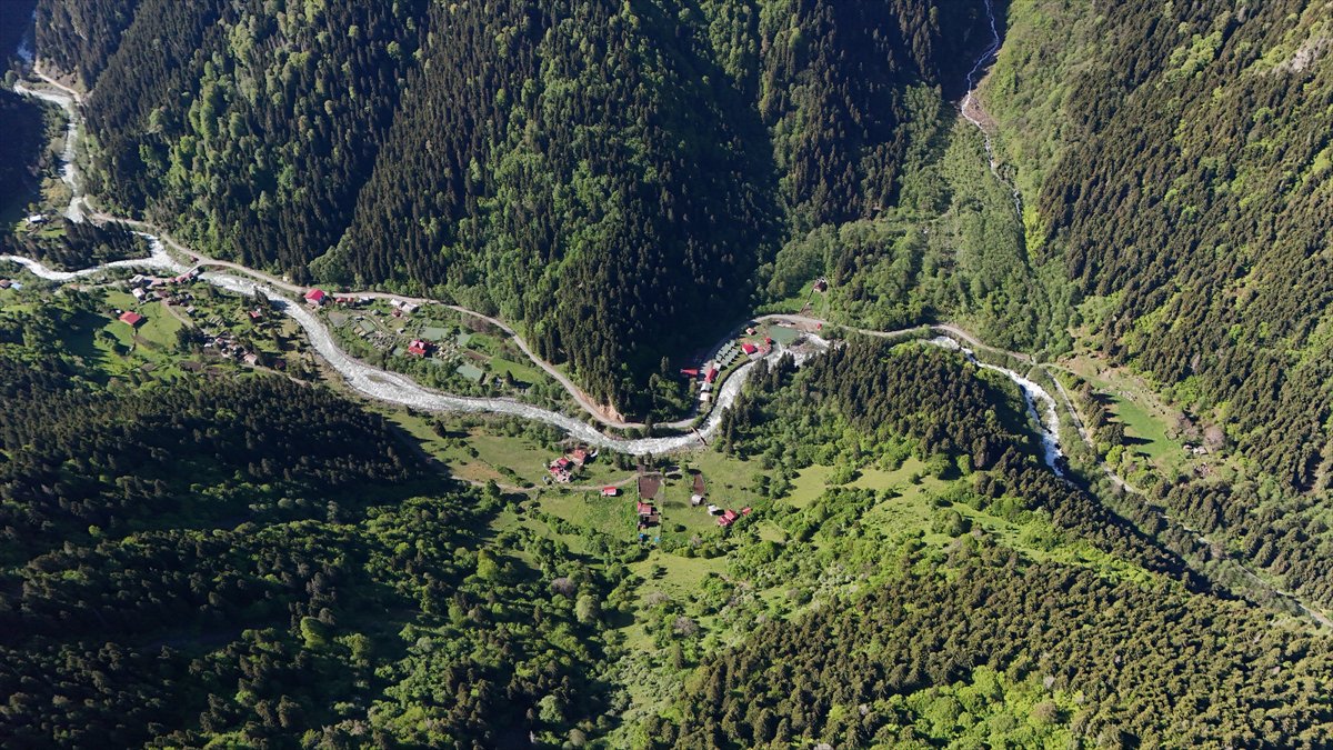 Rize'nin doğa harikası yaylaları: Kaçkarlar