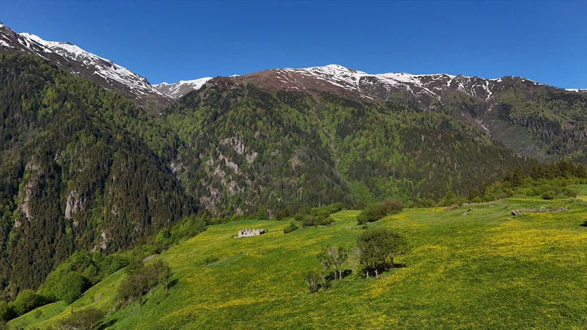Rize'nin doğa harikası yaylaları: Kaçkarlar