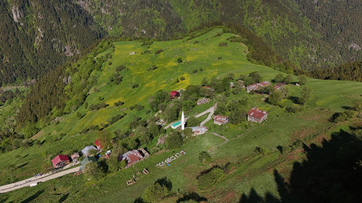 Rize'nin doğa harikası yaylaları: Kaçkarlar