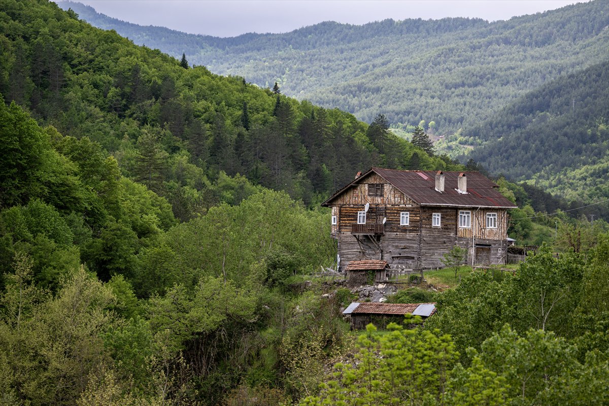 Kastamonu’da keşfedilmeyi bekleyen cennet Horma Kanyonu
