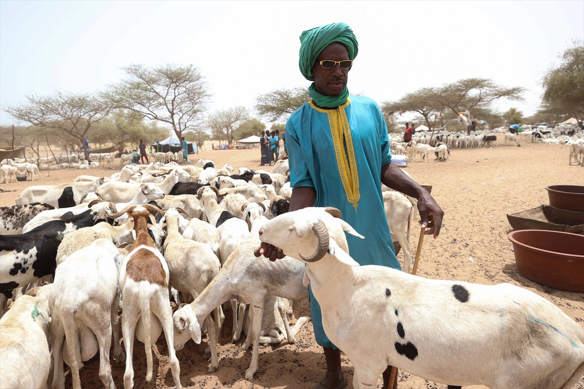 Senegal’de Kurban Bayramı hazırlıkları sokakları hareketlendirdi