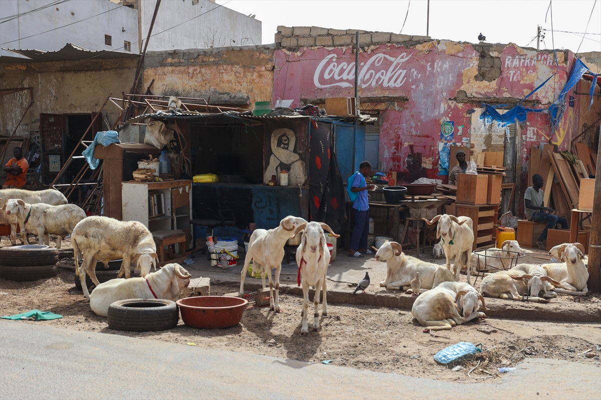 Senegal’de Kurban Bayramı hazırlıkları sokakları hareketlendirdi